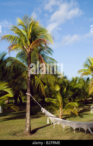 Un hamac suspendu entre deux arbres au Paradisus Rio de Oro resort and spa, Guardalavaca, Holguin, Cuba Banque D'Images