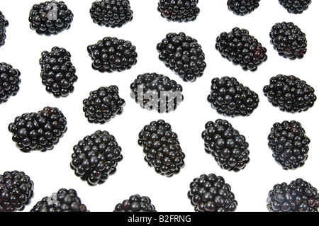 Fruits Rubas blackberry Brombeere dewberry baies noires de boysen frais marionberry sur fond blanc Banque D'Images