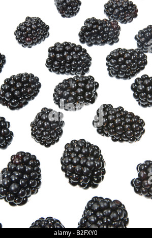 Fruits Rubas blackberry Brombeere dewberry baies noires de boysen frais marionberry sur fond blanc Banque D'Images