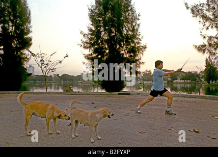 Un homme solitaire épée pratiques se déplace dans Parc Lumphini à Bangkok, tandis que deux labradors golden folâtre, regardez sur la Thaïlande. Banque D'Images