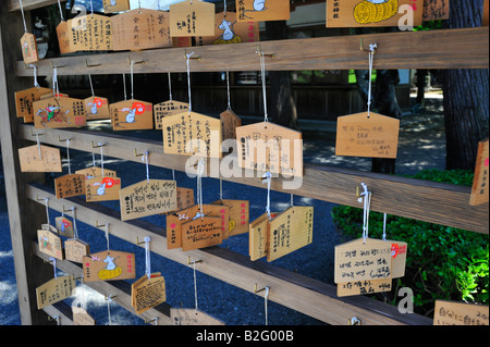 L'EMAS au sanctuaire shinto, Izumi suizen ji jojuen jardin, Kumamoto, Préfecture Kumamoto, Kyushu, Japon Banque D'Images