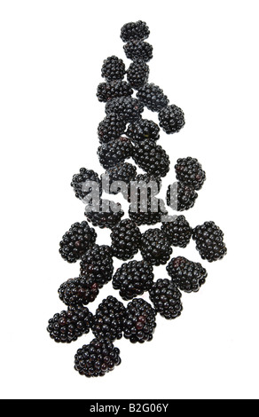 Fruits Rubas blackberry Brombeere dewberry baies noires de boysen frais marionberry sur fond blanc Banque D'Images