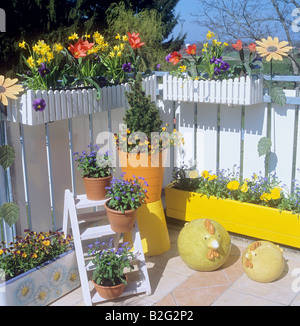Balcon avec différentes fleurs Banque D'Images