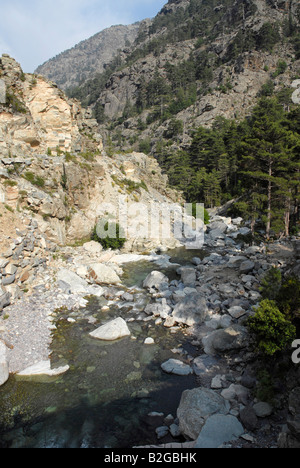 Un flux à travers la zone montagneuse à l'ouest de Corte en Corse du nord Banque D'Images