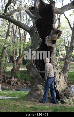 Macédoine Grèce Agios Nikolaos Naoussa Saint Nicolas Park formé par la rivière Arapitsa Banque D'Images