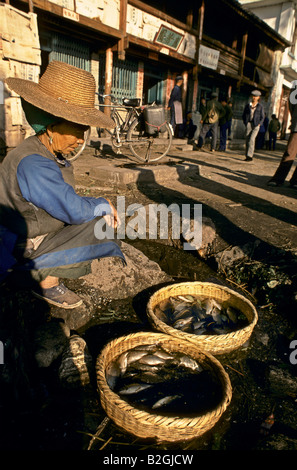 Vieille Femme avec des paniers de poissons, Chine Banque D'Images