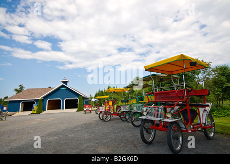 Les quadricycles touristiques modernes disponibles à la location à l'heure ou jour Banque D'Images