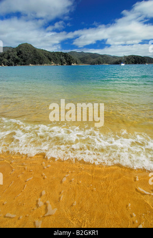 Anchorage Torrent Bay dream beach abel tasman np le parc national de Nouvelle-Zélande océan nelson region maison de vacances Banque D'Images