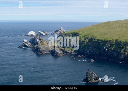 Vue vers le phare de Muckle Flugga du Hermaness National Nature Reserve, Unst, îles Shetland, Écosse, Royaume-Uni Banque D'Images