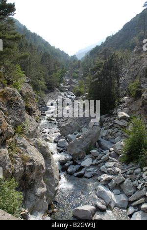 Un flux à travers la zone montagneuse à l'ouest de Corte en Corse du nord Banque D'Images