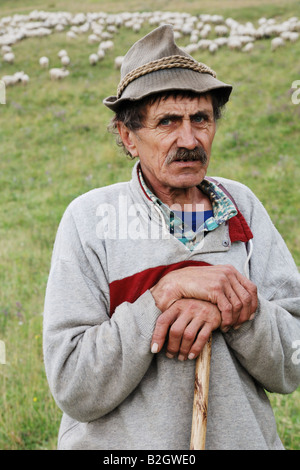 Portrait of mature sheperd homme d'herbe et de moutons dans les montagnes en arrière-plan Une Grande Fatra Slovaquie l'été 2008 Banque D'Images