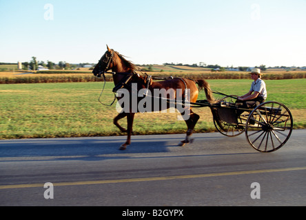 Les Amish, ou ordinaire, les gens du comté de Lancaster en Pennsylvanie, utilisent encore hippomobiles landau pour le transport Banque D'Images