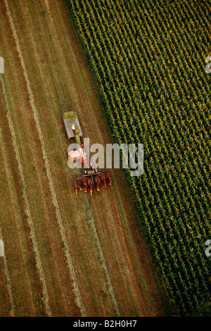 Vue aérienne de l'agriculteur avec de chariot tiré par des chevaux dans la région de Pennsylvania Dutch Country, terres fertiles extrêmement, New York Banque D'Images