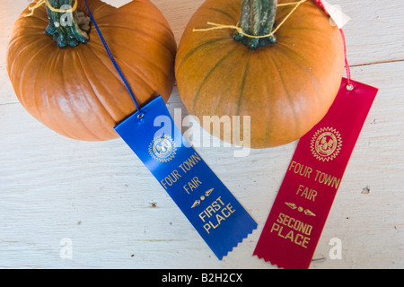 Les citrouilles avec la première et deuxième place ribbons rattachées Banque D'Images