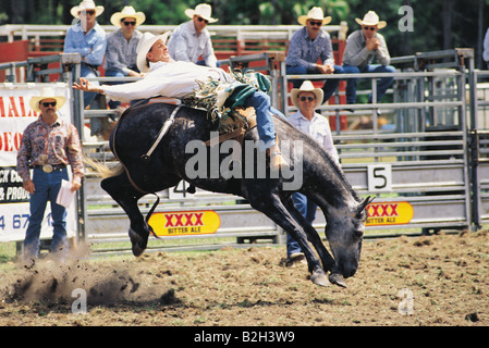 Cheval de cow-boy sur rodeo dans le Queensland, Australie. Banque D'Images