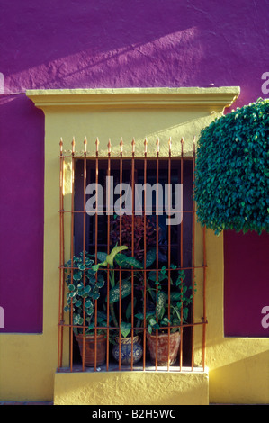 Maison coloniale espagnole dans le vieux Mazatlan, Mexique Banque D'Images