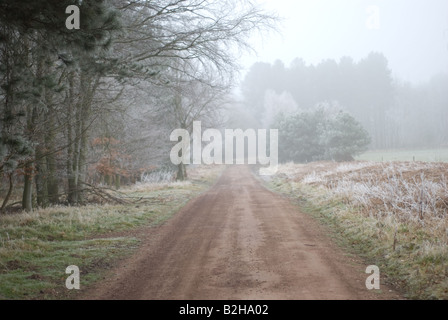Route à travers la forêt de Sherwood en hiver Banque D'Images