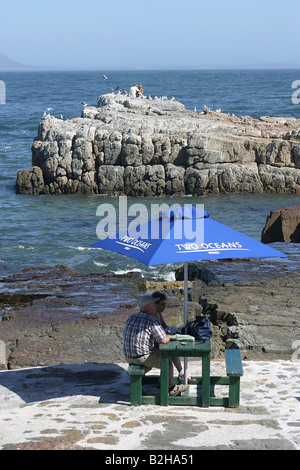 Côte Rocheuse parasol Afrique du Sud Hermanus Afrique du Sud Banque D'Images