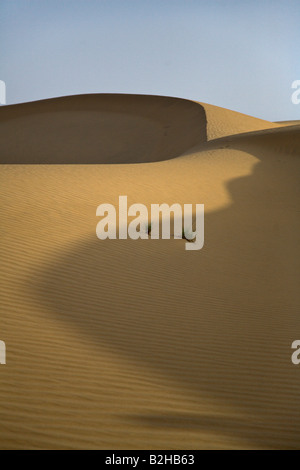 Sous forme de dunes de sable dans le désert du Thar près de Jaisalmer RAJASTHAN INDE Banque D'Images