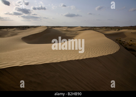 Sous forme de dunes de sable dans le désert du Thar près de Jaisalmer RAJASTHAN INDE Banque D'Images