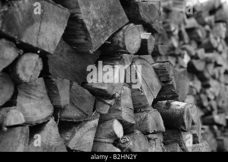 Une photo en noir et blanc de cordes de bois dans un champ pays, pour le chauffage pendant les mois d'hiver. Un joli économiseur d'écran. Banque D'Images