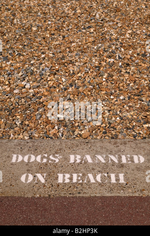 Chiens interdits sur la plage avertissement inscrit sur le trottoir Banque D'Images