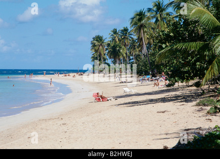 Géographie / voyages, République Dominicaine, Las Galeras, plages, plage, République dominicaine, Amérique Centrale, Caraïbes, palm beach, t Banque D'Images