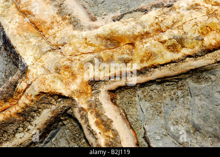 Abeilles Moeraki Boulders Otago ile sud Nouvelle Zelande muster structure Banque D'Images