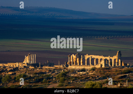 La basilique dans les ruines romaines à Volubilis, Maroc Banque D'Images
