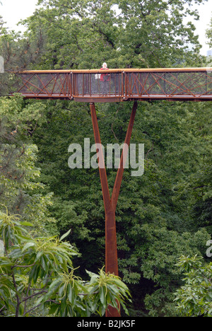 Les visiteurs de marcher sur le Rhizotron et Xstrata Treetop Walkway à Kew Gardens, London, UK Banque D'Images