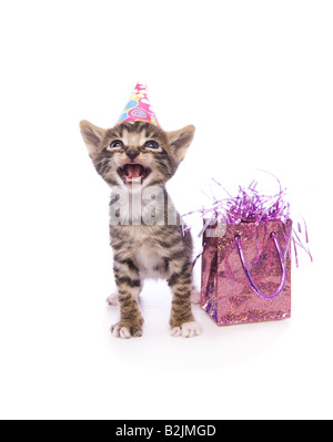 Joyeux anniversaire adorable chaton avec bouche ouverte wearing hat avec sac cadeau isolé sur fond blanc Banque D'Images