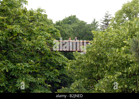 Les visiteurs de marcher sur le Rhizotron et Xstrata Treetop Walkway à Kew Gardens, London, UK Banque D'Images