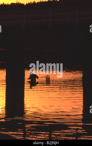Pêcheur de crabe de patauger dans l'eau La pêche au filet au coucher du soleil près de Pier Banque D'Images