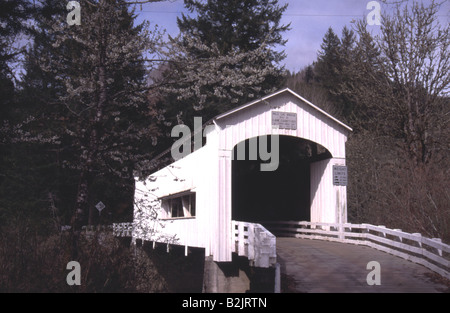 Pont couvert Wildcat Wildcat Creek rivière Siuslaw Austa Road Oregon Banque D'Images