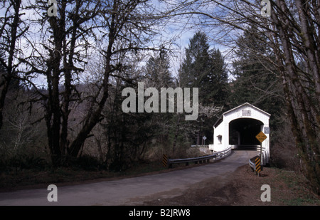 Pont couvert Wildcat Wildcat Creek rivière Siuslaw Austa Road Oregon Banque D'Images