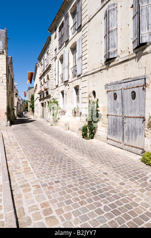 Maisons de la vieille ville de Chinon, France. Banque D'Images