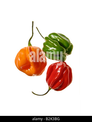 Capsicum chinense sinense habaneros plus chaude très chaude douce poivrons rouge vert jaune orange piment piment poivre frais alimentaires Banque D'Images