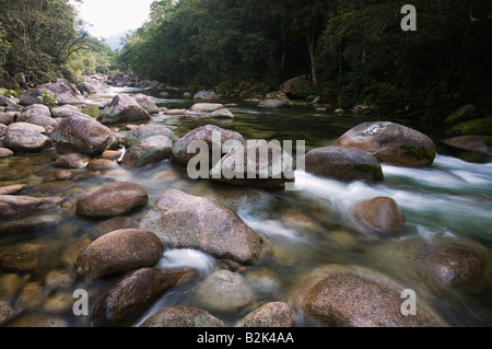 - Mossman Gorge, Daintree, Queensland, Australie Banque D'Images