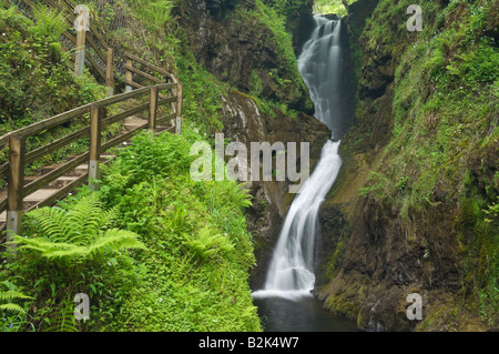 Na Ess cascade larach Glen Glenariff Forest Park près de Cushendall Ariff le comté d'Antrim en Irlande du Nord UK GB EU Europe Banque D'Images