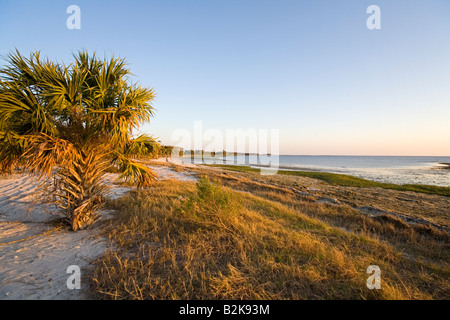 Shired Island, la Côte du Golfe, en Floride Banque D'Images