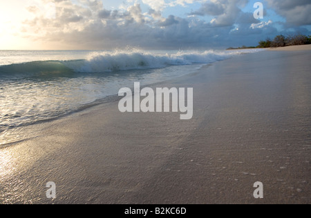 11 Mile Beach sur Barbuda s côte ouest au coucher du soleil comme une vague se casse mousseuse Banque D'Images