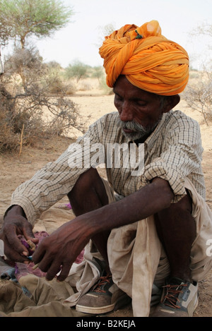 Chamelier ayant une pause sur safari dans le Rajasthan, Inde Banque D'Images