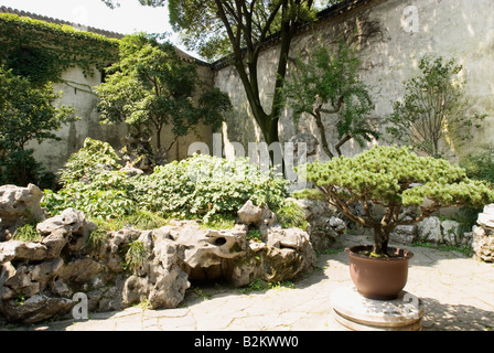 La Chine, Suzhou, le jardin persistant Banque D'Images