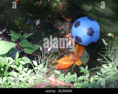 Une balle en plastique bleu perdu sur petite rivière dans les arbres Banque D'Images