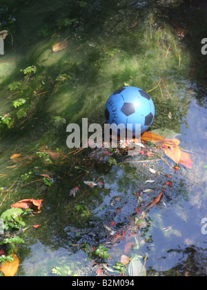 Une balle en plastique bleu perdu sur petite rivière dans les arbres Banque D'Images