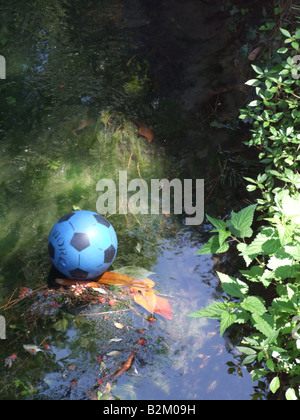 Une balle en plastique bleu perdu sur petite rivière dans les arbres Banque D'Images