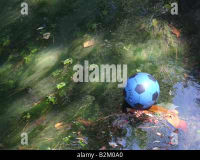 Une balle en plastique bleu perdu sur petite rivière dans les arbres Banque D'Images