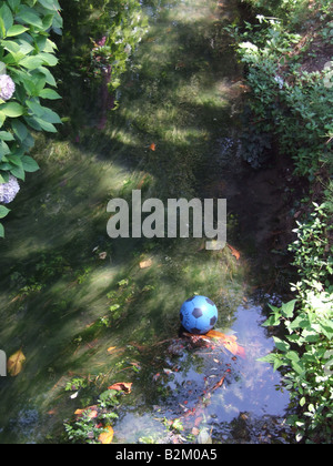 Une balle en plastique bleu perdu sur petite rivière dans les arbres Banque D'Images