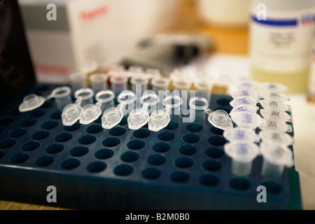 L'équipement de laboratoire pour l'analyse d'ADN des échantillons sont contenues dans de petits bouchons en plastique avec viles stockés dans des casiers en plastique Banque D'Images