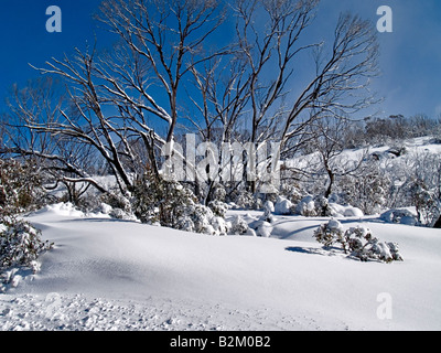 Dainer s Gap montagnes enneigées du New South Wales Australie après chute de neige fraîche Banque D'Images